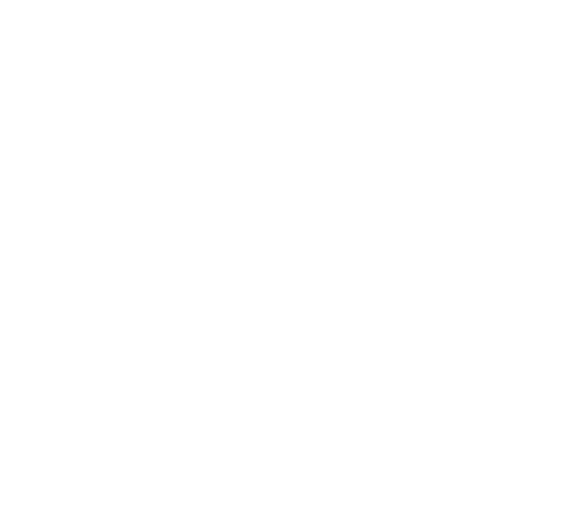 IC Holding
